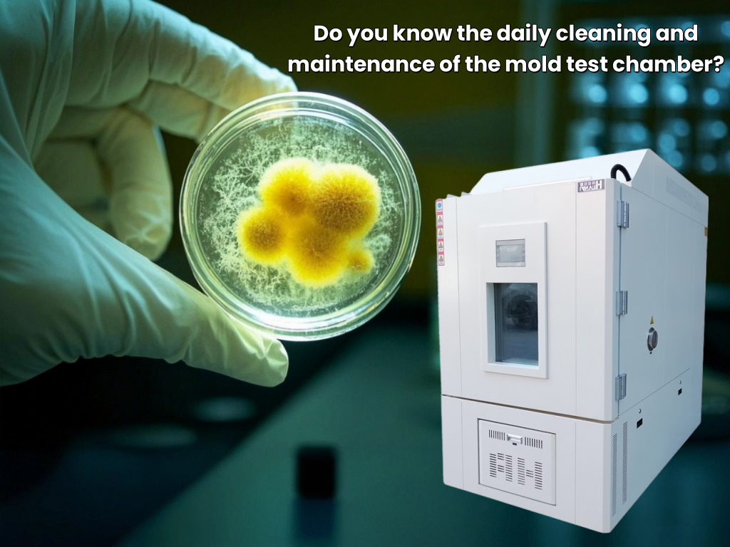 Daily cleaning and maintenance of mold test chamber